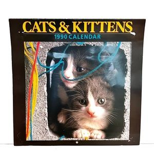 Vintage 1990 Kittens and Cats Calendar Kitty Cute Nostalgic Coles Retro Blank